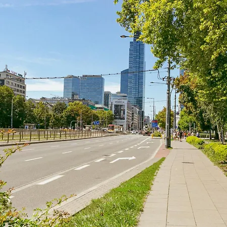 Pereca Blue - Better * Warsaw