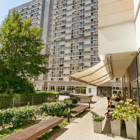 Pereca Blue - Better